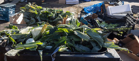 FAO experts assess the risk of antimicrobial resistance spreading via food loss and waste