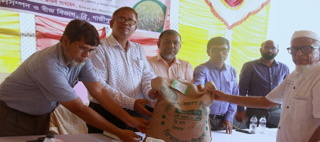 BRRI to distribute 97 tons of breeder seeds for Bangladesh's Aman season